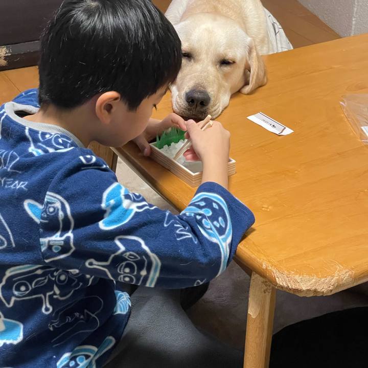 Bb229643 3981 4366 87bc bf22ef0768c1 1639916049840