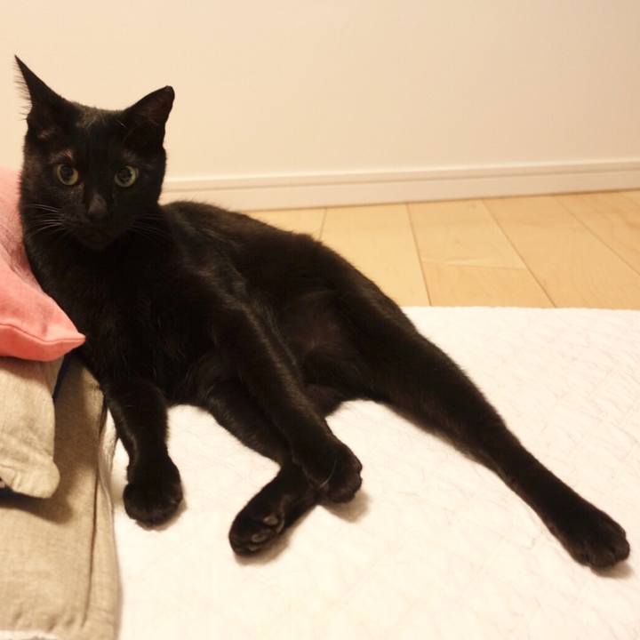 Bb2320c6 a03c 4ce8 822a 530251766282 1524745246290