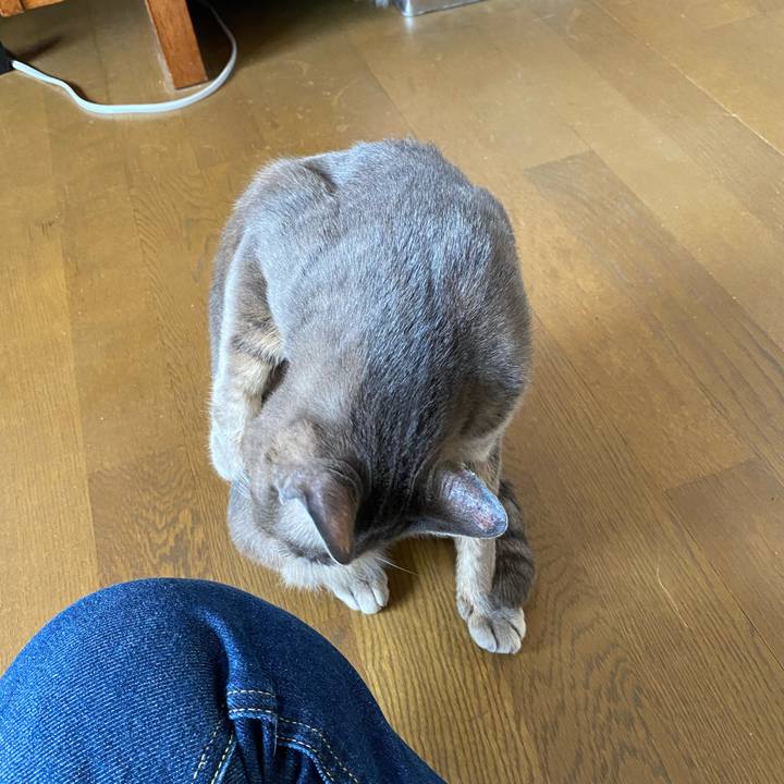 Bb2347a2 13d5 4199 b641 16a2300cace3 1578217622082