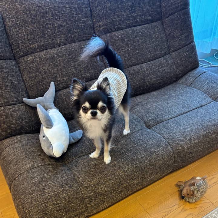 Bb234a46 bff0 49a0 a3b4 37fa9e8af3eb 1721491091413