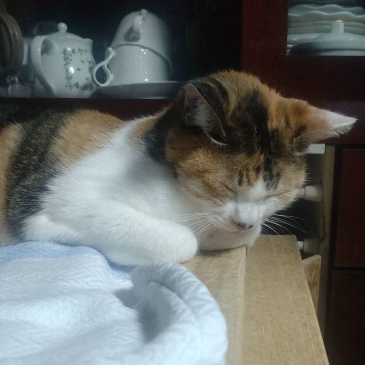 Bb23509f 024e 48f6 a267 b458aeb869e7 1758371919277