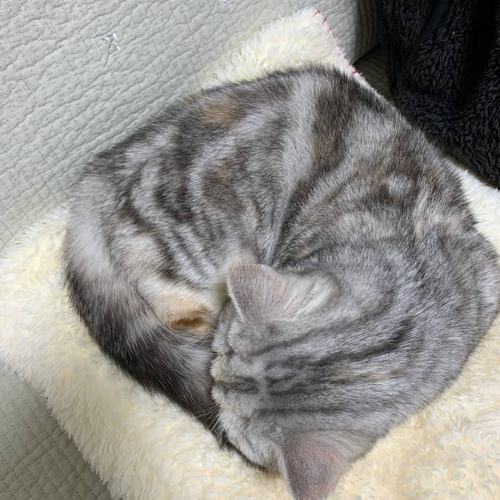 Bb235b05 60aa 4884 9c2f d8d6728749da 1708699483335