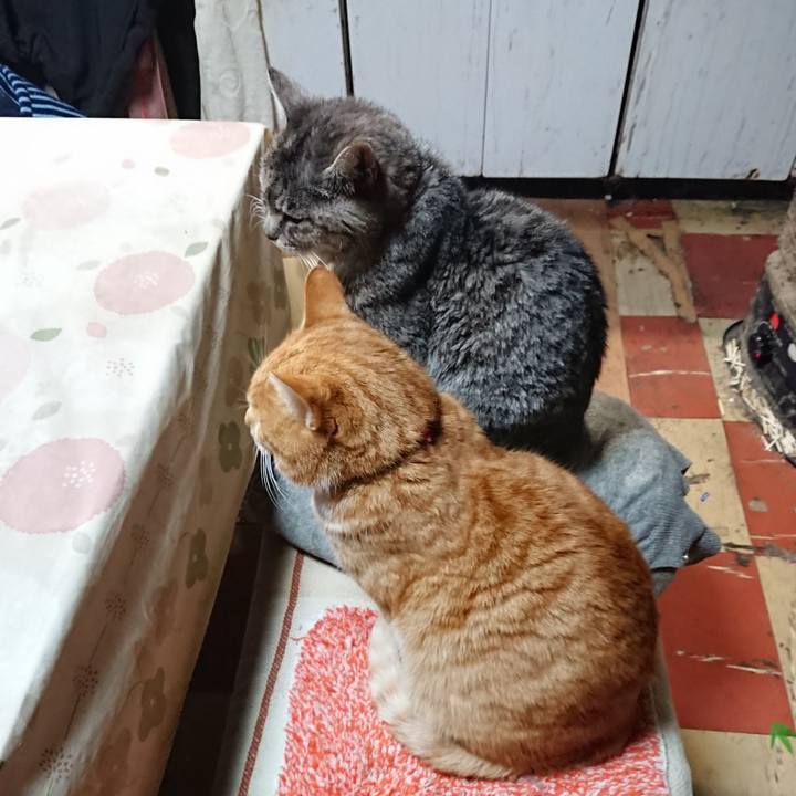 Bb23abf0 e3c3 4b46 995b dd1d761cd738 1577483654907