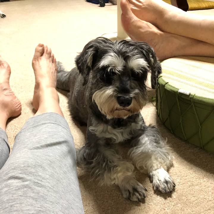 Bb243717 d1e3 4756 89a7 03895b9cedce 1629094483011