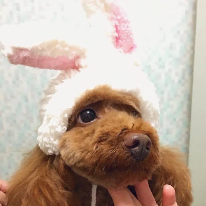 Bb245098 9f21 43eb b027 8f84cf55baa0 1672613843984