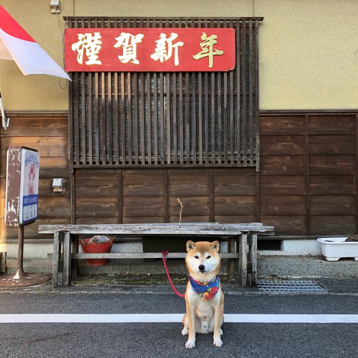 Bb245193 077b 4d44 98ba a33c393b71ca 1546330918093