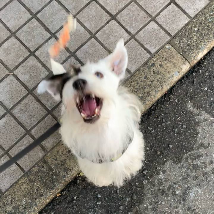 Bb248c42 ac7c 4745 b050 cf44bff153f1 1698881509114