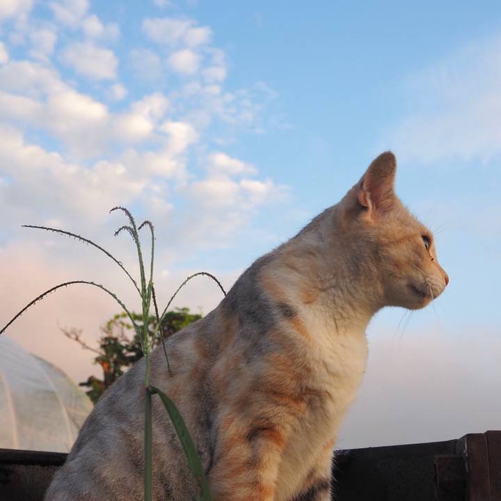 Bb24ae3c 4a86 4827 a9c9 b9aba271e808 1765709864208