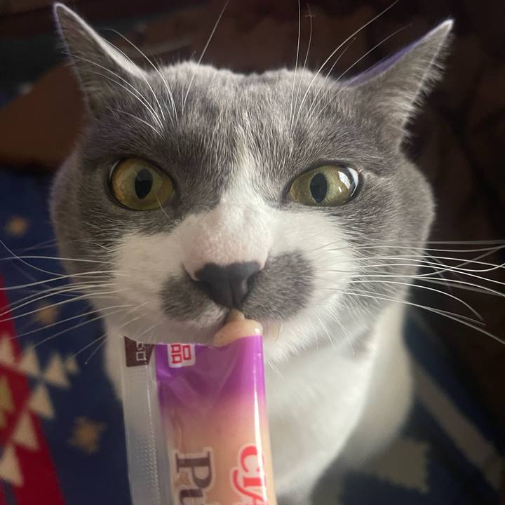 Bb24d338 84f9 4dd9 8769 28b38c3fec36 1671861716630