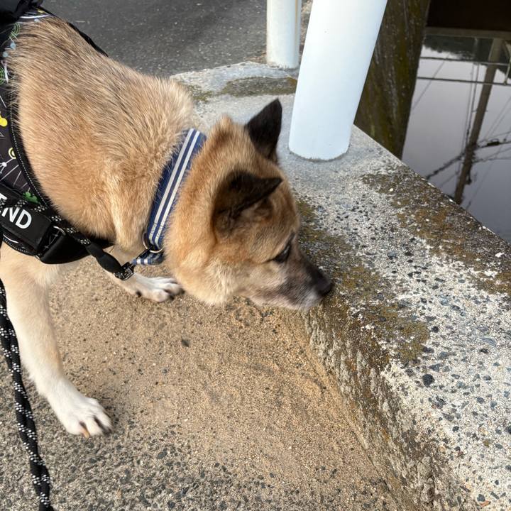 Bb24dd70 01e6 4e30 a307 b7d3c8e73190 1756470269227