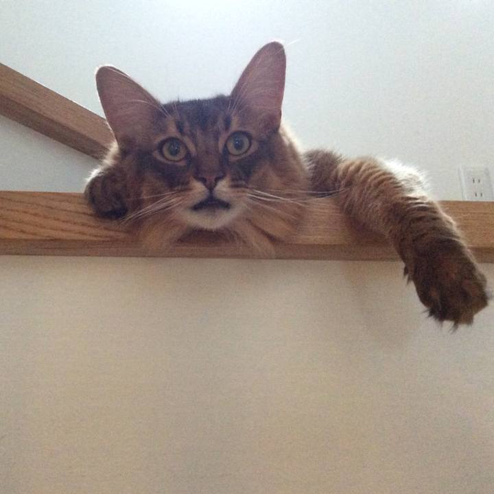 Bb24de4f 30c0 4874 bd50 34ef3fc4aa16 1621725875753