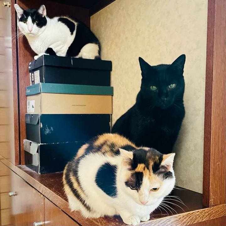 Bb24eabc 50c1 47df 9e14 5fdc5445816a 1643770204285