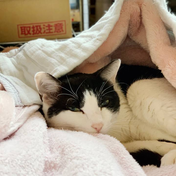 Bb24fd37 53e6 4ff8 82ee 8f36d19113b1 1552183229318