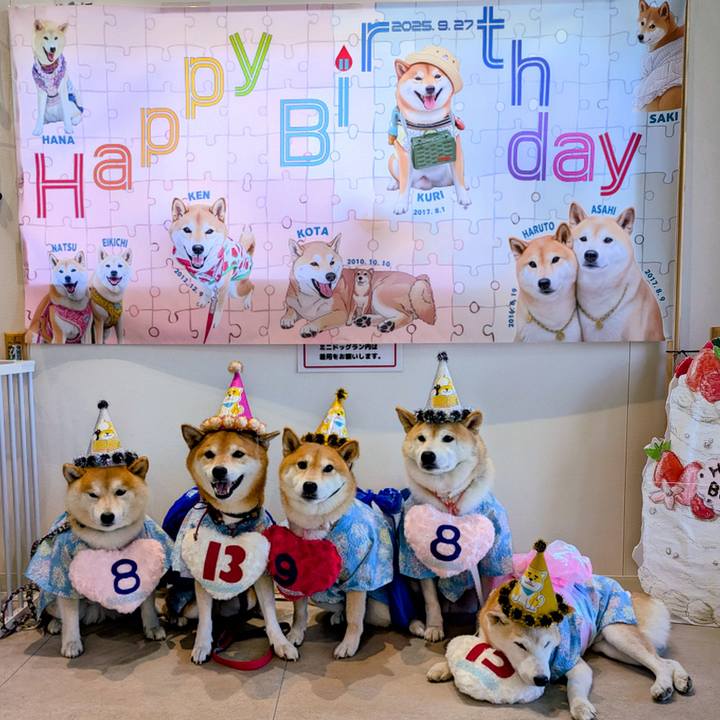 Bb250f77 df6e 4068 960f 49d216779f6a 1759018093821