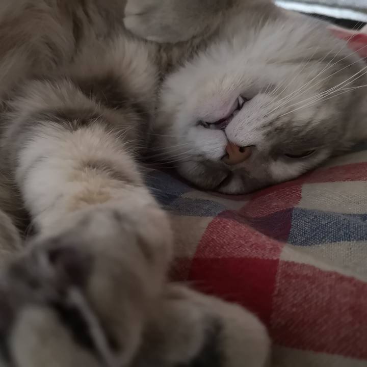 Bb25500e 3e93 4350 b53b 5879133bbcf5 1556408749178