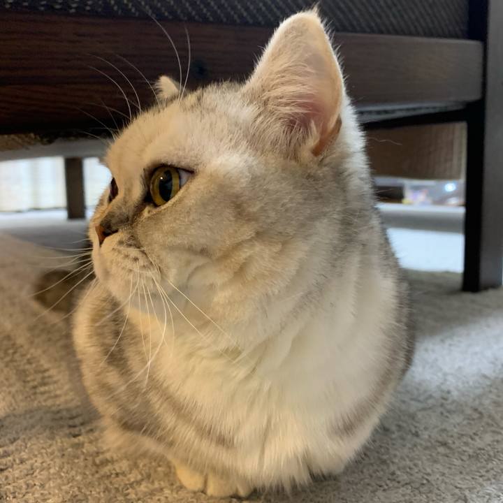 Bb258803 aae2 4ab0 8e31 eaaf64851cb0 1708603983707