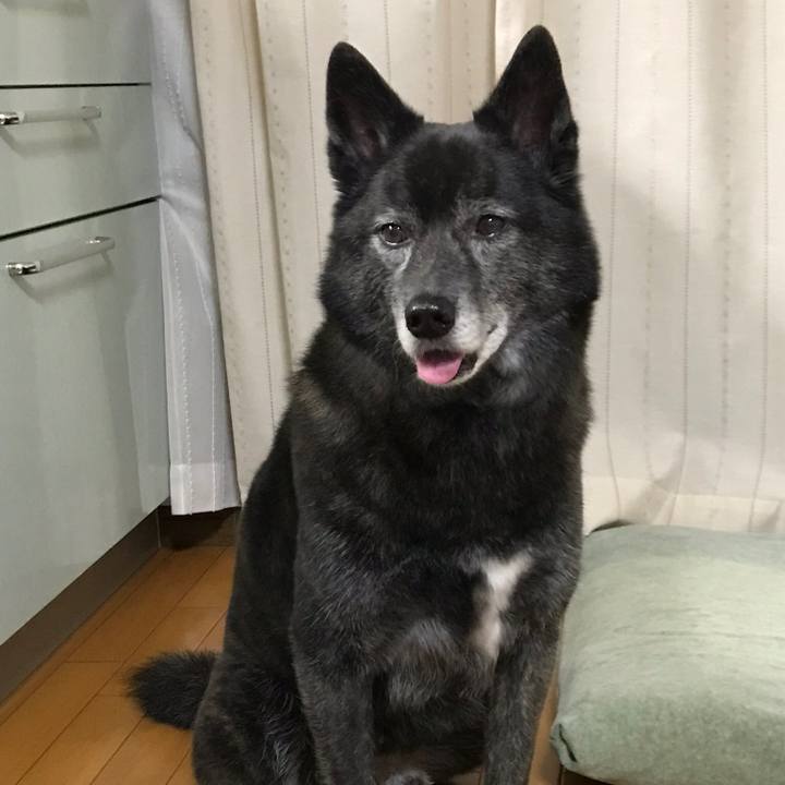 Bb259bc4 f220 4480 962f 4f1bd90e3ed1 1523968468372