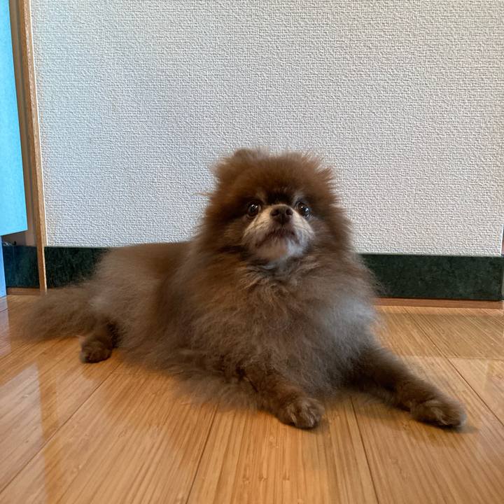 Bb259d32 9ddb 4e4a 85c7 f1d5a7b78d40 1693860226256