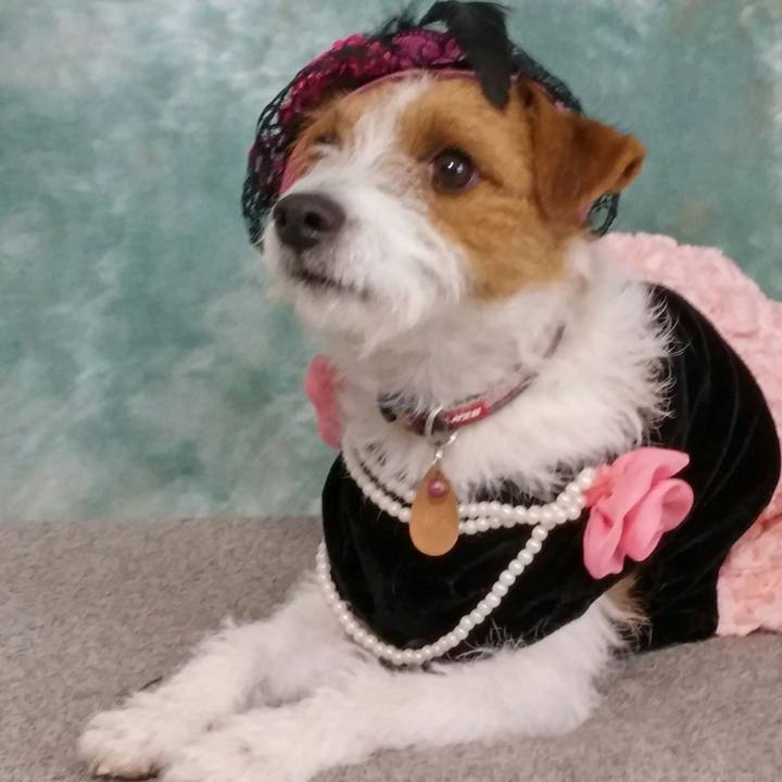 Bb25a454 b435 43b8 800f 5bc701c969c8 1546647613755