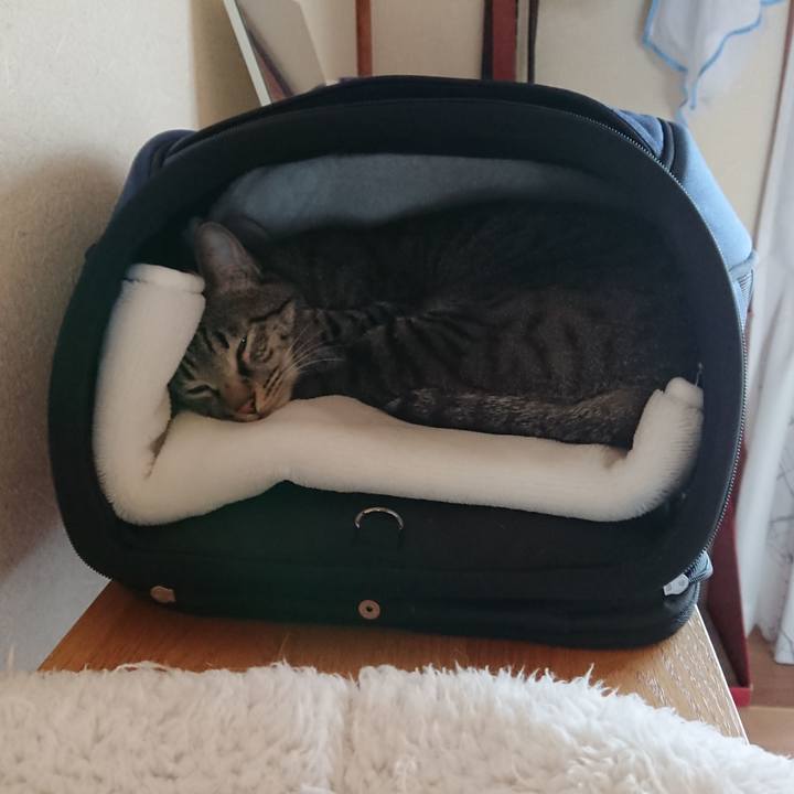 Bb25a6b4 e15d 44a6 a06c 1fa8b4c09a90 1523158182755