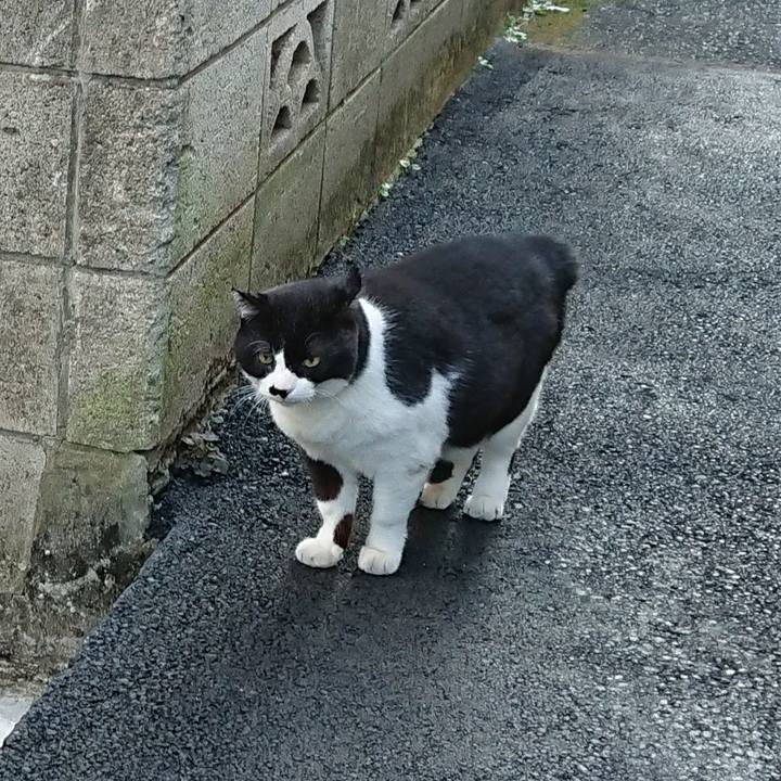 Bb25f1ad 58c6 4703 98c5 1bc0cd000dbe 1605570987866