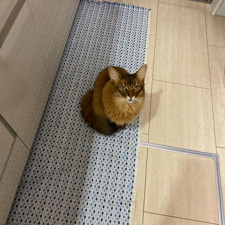 Bb266fc8 19b7 4dce 9883 81f2efad2914 1673942900242