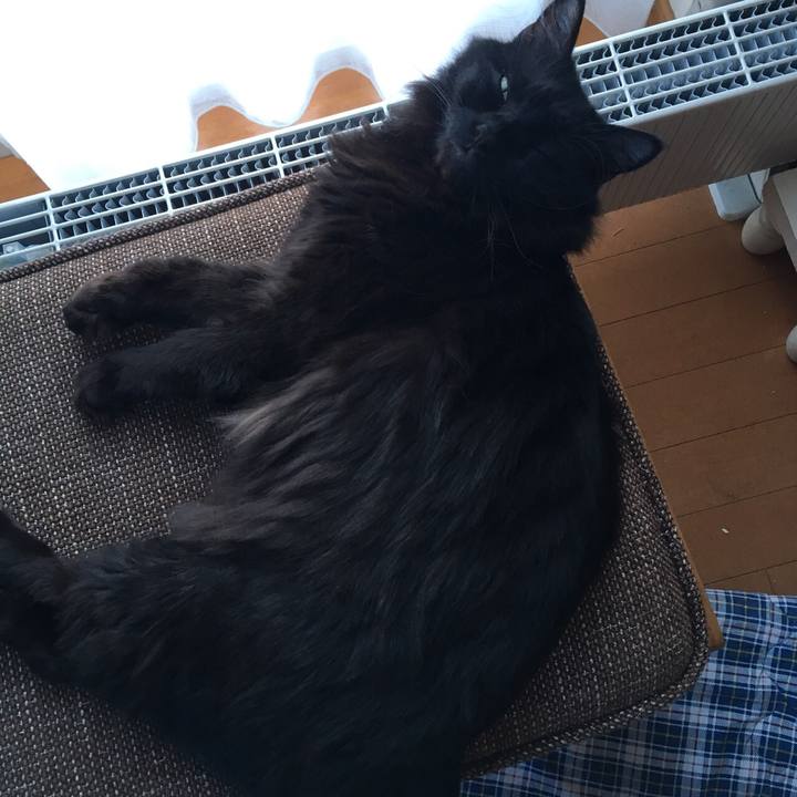 Bb267176 2f23 4601 8666 5834dfcba028 1515657407242