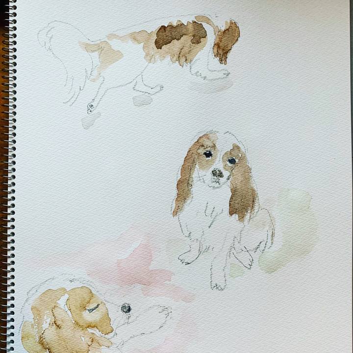 Bb26ccce dc8c 491a 9538 054f7c9f2dc7 1572156575326