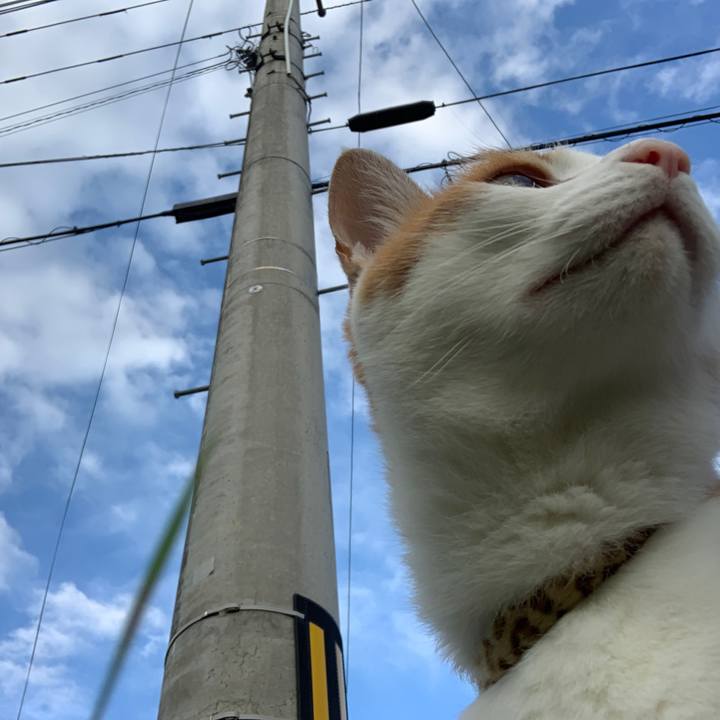 Bb26dd84 1e5a 4bb5 8fdc 6862291f8719 1595407076889