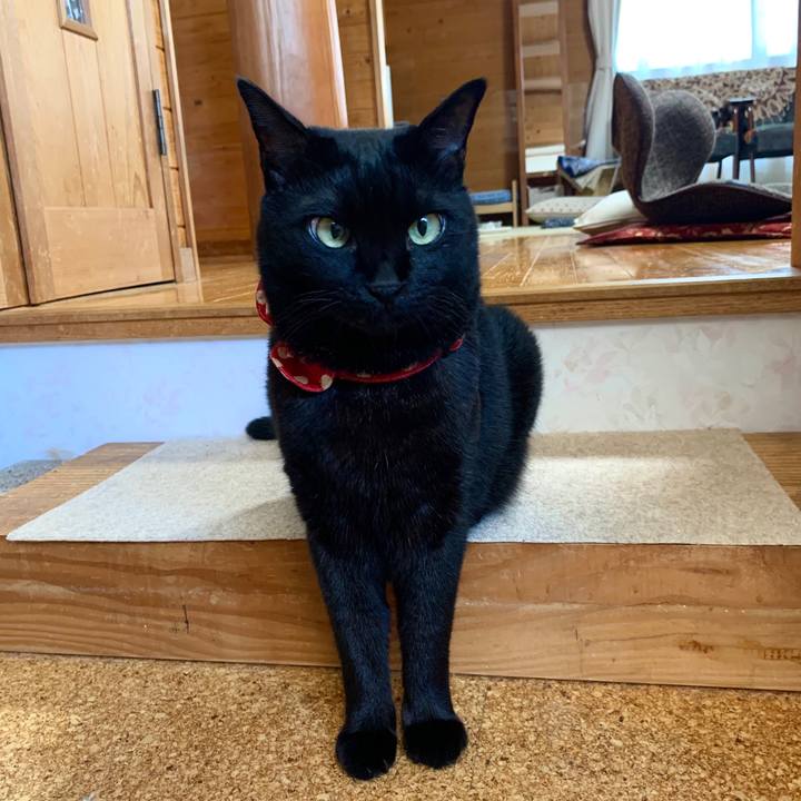 Bb26e0ce f825 4ddc 803a ecaaa0e0b070 1597882198728