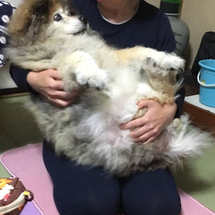 Bb2766a1 9fd6 4e30 9444 51af6062ebaa 1586997608995