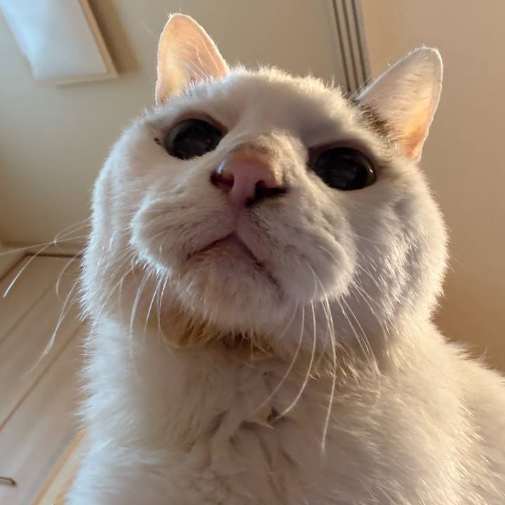 Bb2772a2 8610 46e1 a8a1 6405731f2dca 1765248980799