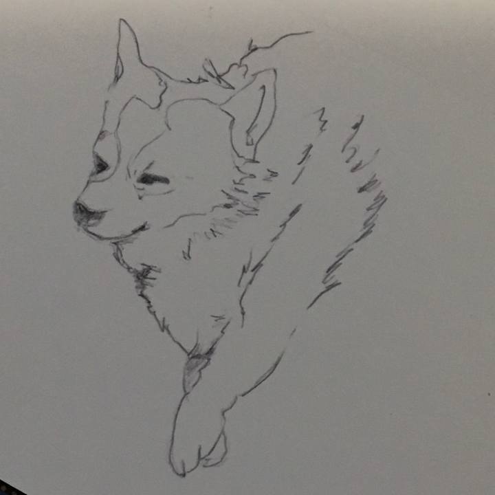 Bb278d7b 7ce4 4837 a17e f71785bf4011 1567875131819