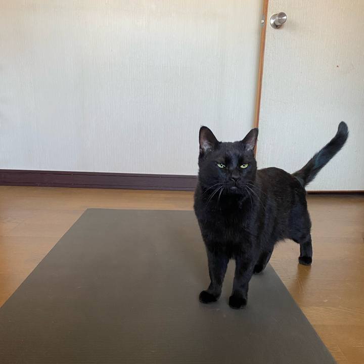 Bb279e56 d9bd 466b a602 e65fdc54c1ad 1698316916785