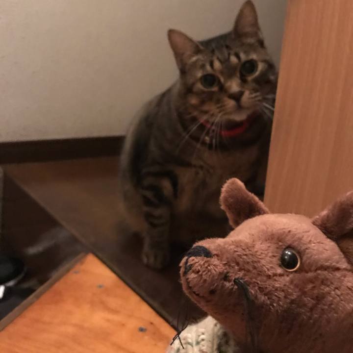 Bb27abc5 10c7 4421 ab08 70a928360303 1577741488934