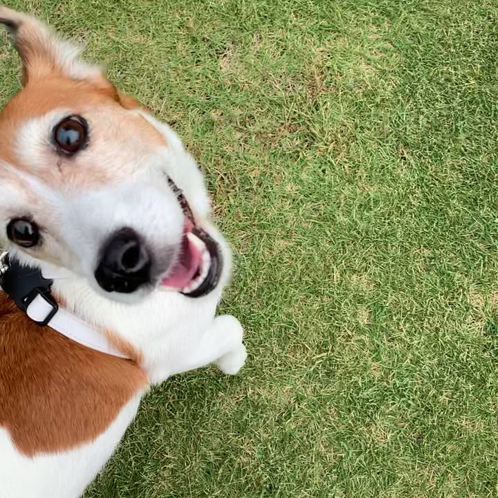 Bb27af8e e07a 411c b0f5 35a5dc96ae67 1571152534477