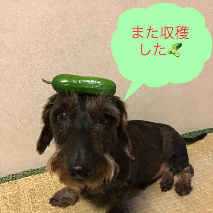 Bb27e15f 0797 4078 9557 47edd21853a7 1528986126347