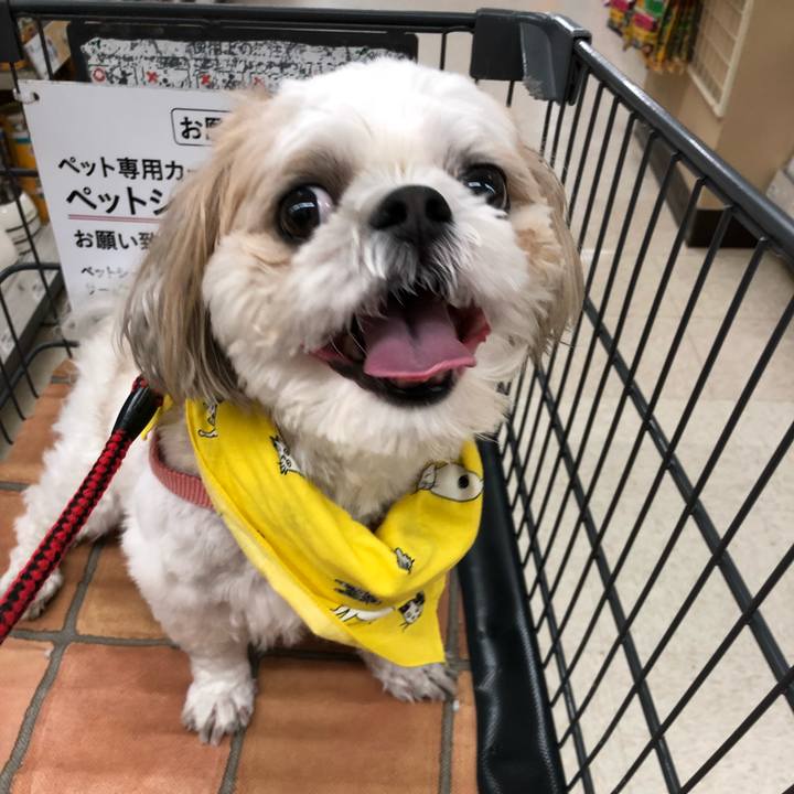 Bb281556 a54d 4204 ac03 e0ed7a969c6e 1649023675141