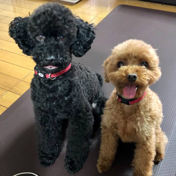 Bb286598 5c56 42cd bf29 33bcd41cb5b5 1563315940885