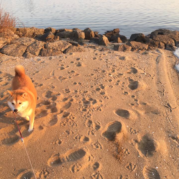 Bb288ff0 cc42 4a51 ba9b 738f24dac3f9 1516162246625