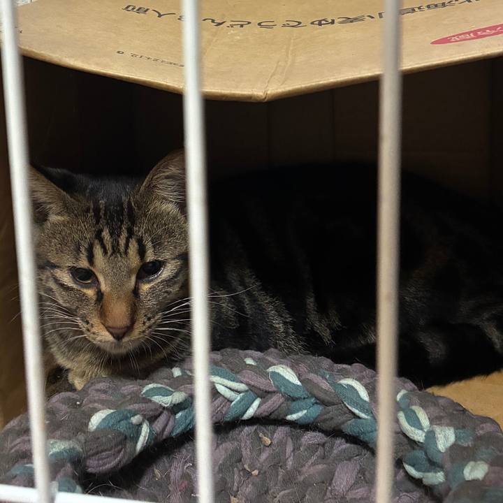 Bb28986b adbc 4dca 9504 e61e732948d8 1756412200186