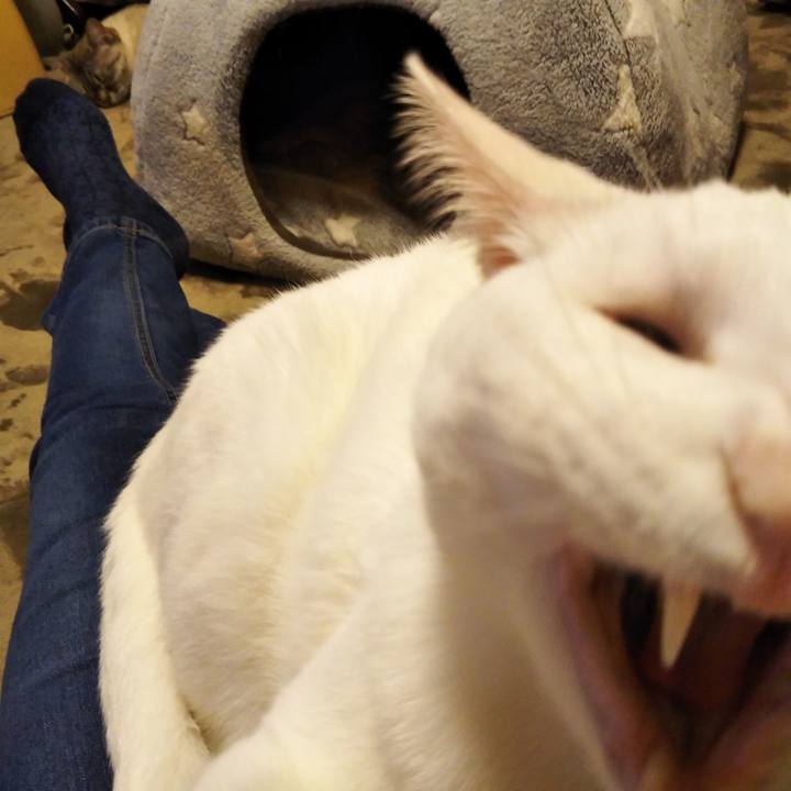 Bb28cc7d e637 4dcf 82b2 35b7bfd2facb 1556201317162