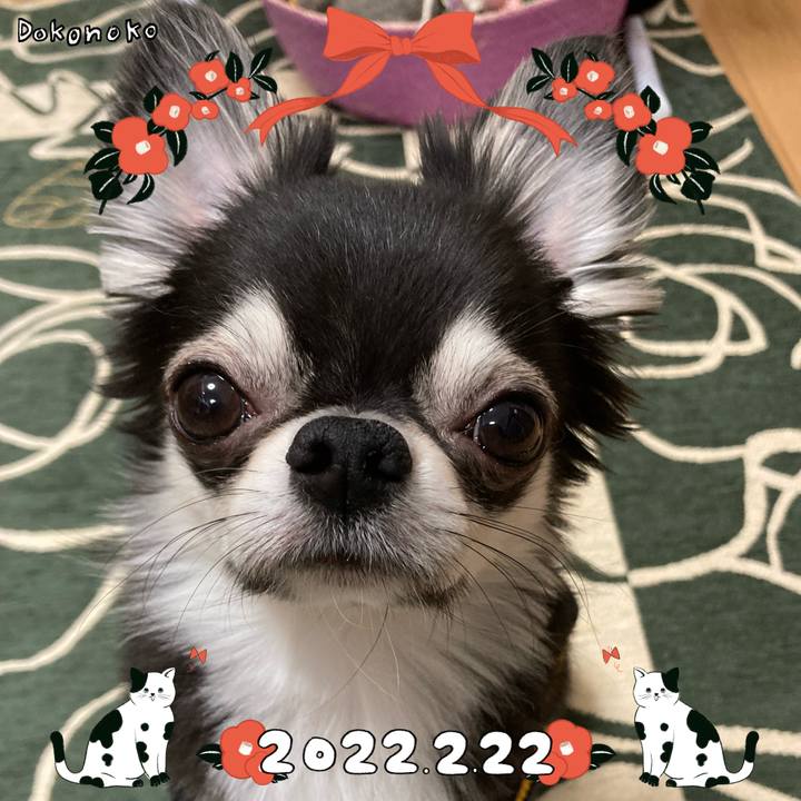 Bb28e9ab 05a2 463c b9d5 06c2bee57435 1645537857227