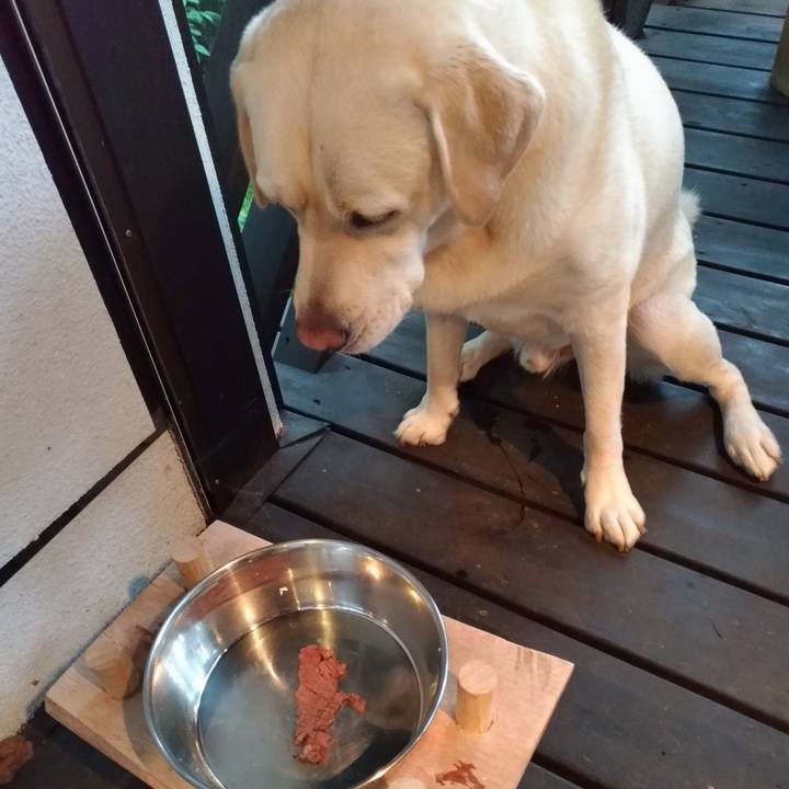 Bb291660 75b0 49ea b54c fdf90669b08e 1565861187616