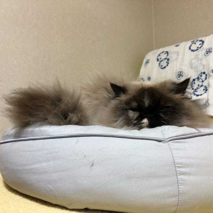 Bb292f46 369d 4cb5 b412 9e4bdfa61a67 1650192164627