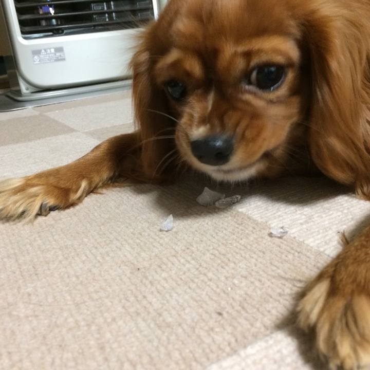 Bb297026 761e 4c09 8ef3 197deabae741 1517264515086