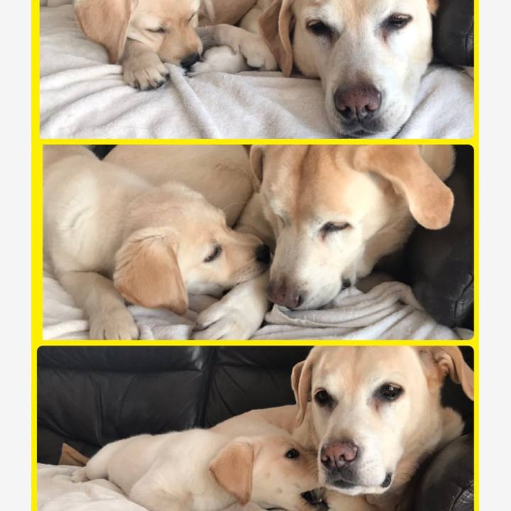 Bb298f3f bb2a 437d b6da 514538321ddd 1552655434309