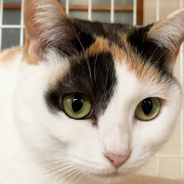 Bb29af6c 2ae0 430b b6cd 1154434a46c4 1575684567816