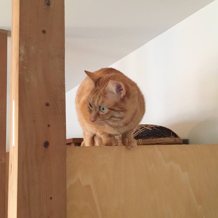 Bb29b437 129f 40be b1a5 024f2e390542 1547940446466