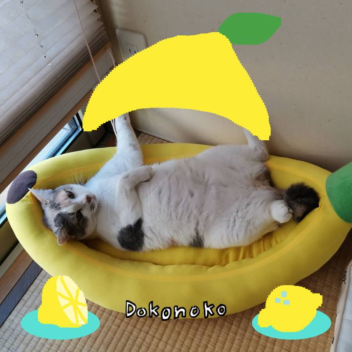 Bb29bd3d 89d1 469d ba21 a0365f1d2adf 1741146169333